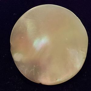 Vintage Mother of Pearl Pin